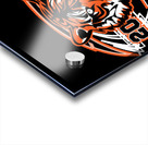Cincinnati Bengals 20 Acrylic print