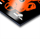 Cincinnati Bengals 29 Acrylic print