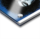 Jimi Hendrix 27 Acrylic print