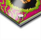 Jimi Hendrix 47 Acrylic print