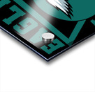 Philadelphia Eagles 13 Acrylic print