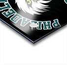 Philadelphia Eagles 42 Acrylic print