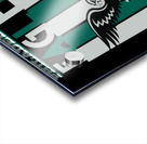Philadelphia Eagles 65 Acrylic print