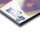 SZA 36 Acrylic print