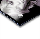 Blondie 33 Acrylic print