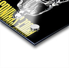 Bruce Springsteen 24 Acrylic print