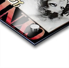 Cyndi Lauper 17 Acrylic print