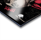DMX 29 Acrylic print