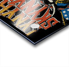 Lynyrd Skynyrd 25 Acrylic print
