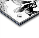U2 23 Acrylic print