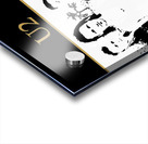 U2 2 Acrylic print