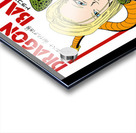 Dragon ball 36 Acrylic print