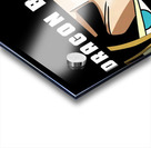 Dragon ball 39 Acrylic print