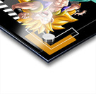 Dragon ball 21 Acrylic print