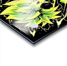Dragon ball 38 Acrylic print