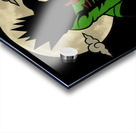 Hunter × Hunter 34 Acrylic print