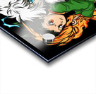 Hunter × Hunter 30 Acrylic print