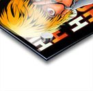 Hunter × Hunter 36 Acrylic print