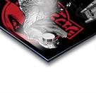 Jurassic Park 2 Acrylic print