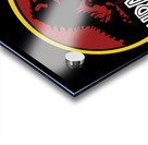 Jurassic Park 5 Acrylic print