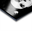 Morrissey 36 Acrylic print
