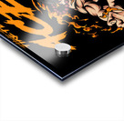 One Piece 4 Acrylic print