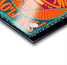 Pink Floyd 3 Acrylic print