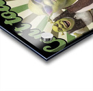 Shrek 6 Acrylic print