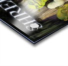 Shrek 19 Acrylic print