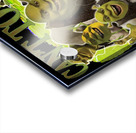 Shrek 43 Acrylic print
