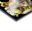 Shrek 49 Acrylic print