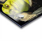 Shrek 5 Acrylic print