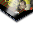 Shrek 20 Acrylic print