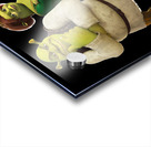 Shrek 42 Acrylic print