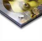 Shrek 52 Acrylic print