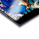Sonic 2 Acrylic print
