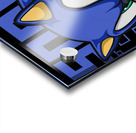 Sonic 23 Acrylic print