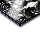 Steppenwolf 19 Acrylic print