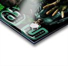 The Matrix 35 Acrylic print