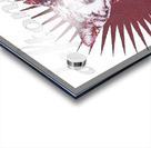 Deftones 13 Acrylic print
