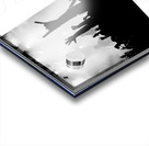 Disturbed 46 Acrylic print