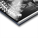 Hatebreed 10 Acrylic print