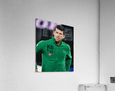 novak djokovic Acrylic Print