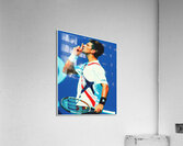 novak djokovic Acrylic Print