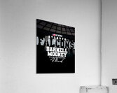 Mooney Falcons 2024 Acrylic Print