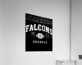 The Falcons Acrylic Print