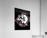 Buffalo Sabres Acrylic Print