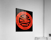 Baltimore Orioles 49 Acrylic Print