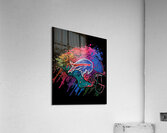 Buffalo Bills 28 Acrylic Print