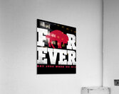 Buffalo Bills 47 Acrylic Print